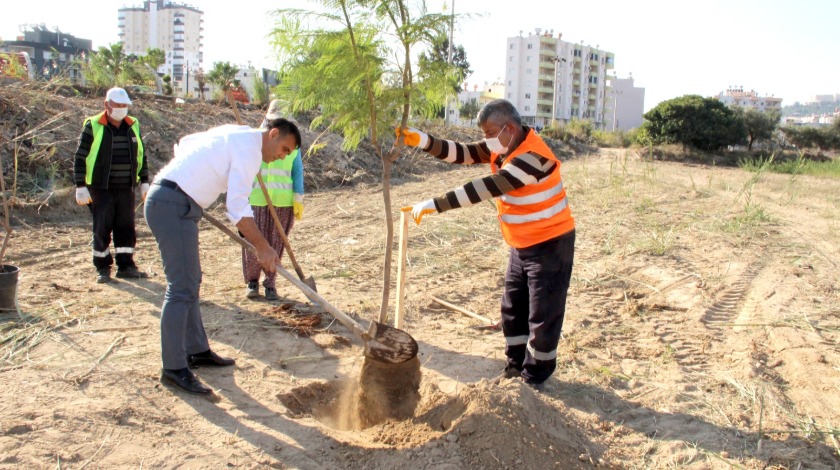 Altunok, ağaç dikme etkinliğine katıldı