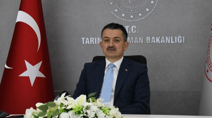 Bakan Pakdemirli: Müdahale alımları hasat öncesi açıklandı