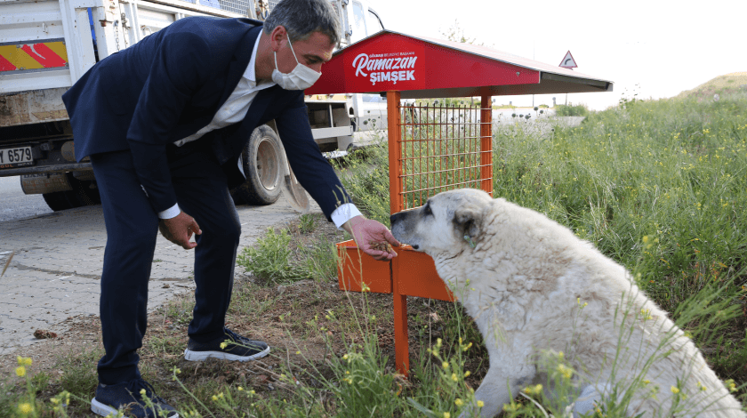 Başkan Şimşek: Can dostlarımıza yapılan bu vahşet kabul edilemez