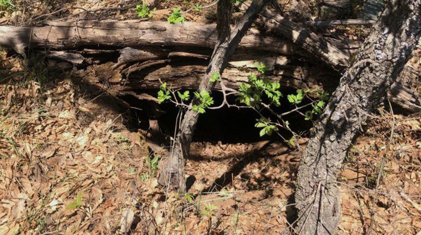 Tunceli'de teröristlerin kullandığı 9 sığınak imha edildi