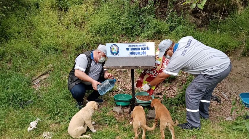 Salihli'de Belediye Ekipleri can dostları unutmuyor