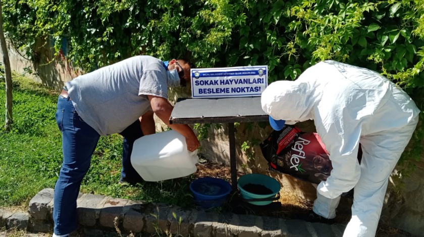 Salihli Belediyesi can dostlara mama desteğini sürdürüyor