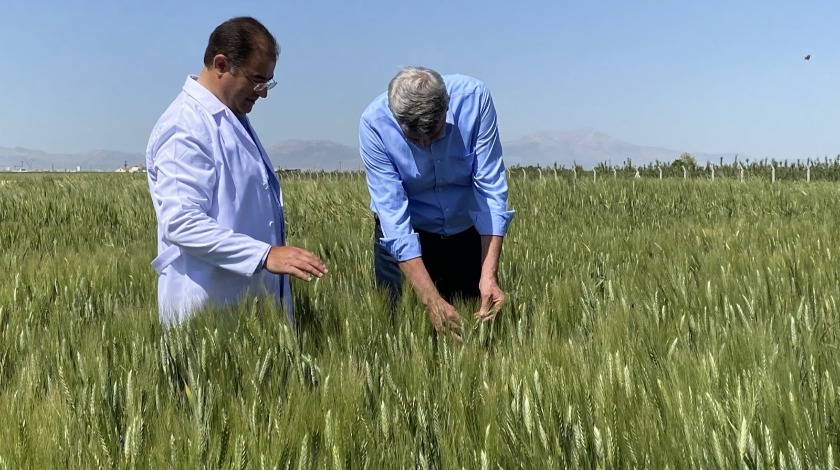 Türk yerli tohumu dünyaya açılıyor