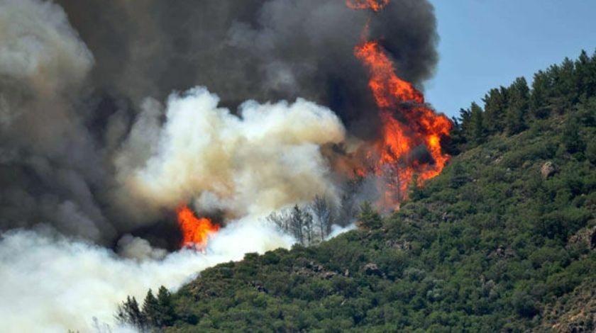 Marmaris'te korkutan yangın! Bir şehidimiz var