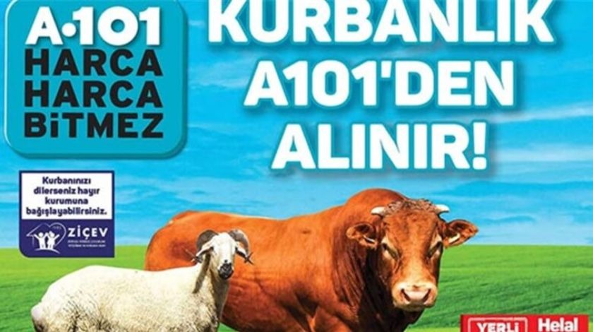 A101 küçükbaş büyükbaş kurban fiyatı 2021 kaç TL? A101 kurbanlık fiyatları ne kadar?