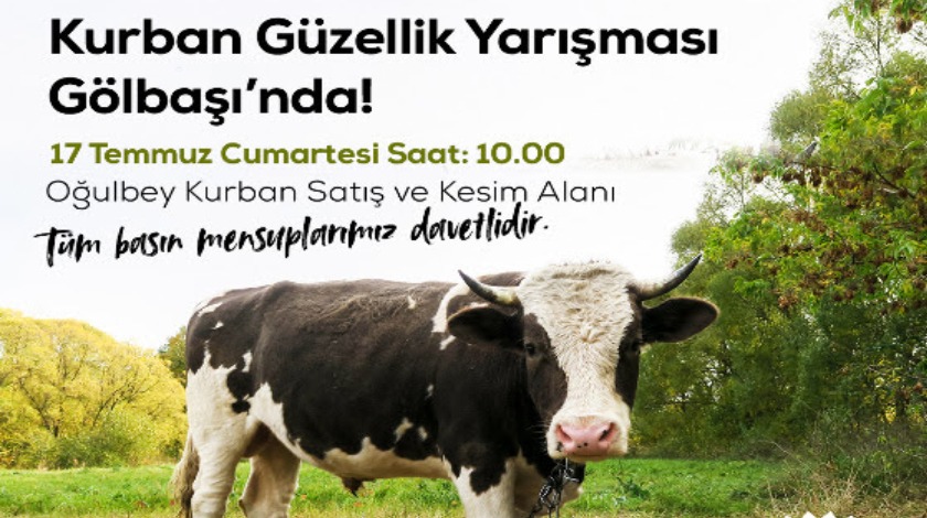 Gölbaşı’nın en güzel kurbanlıkları seçilecek