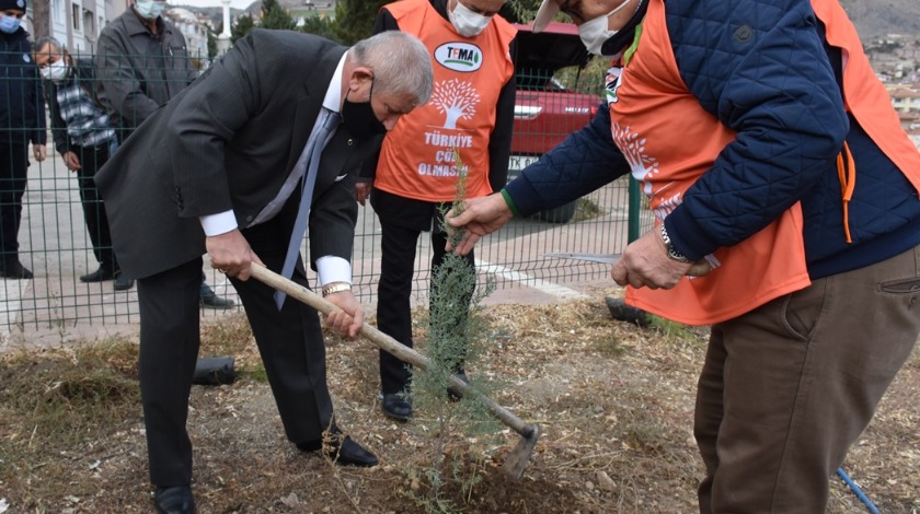 Başkan Sarı’dan yanan ormanlara 10 bin fidan desteği