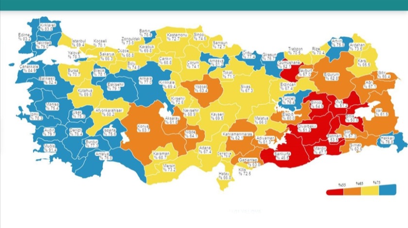 Aşılama haritasında batı illeri 'maviye' büründü