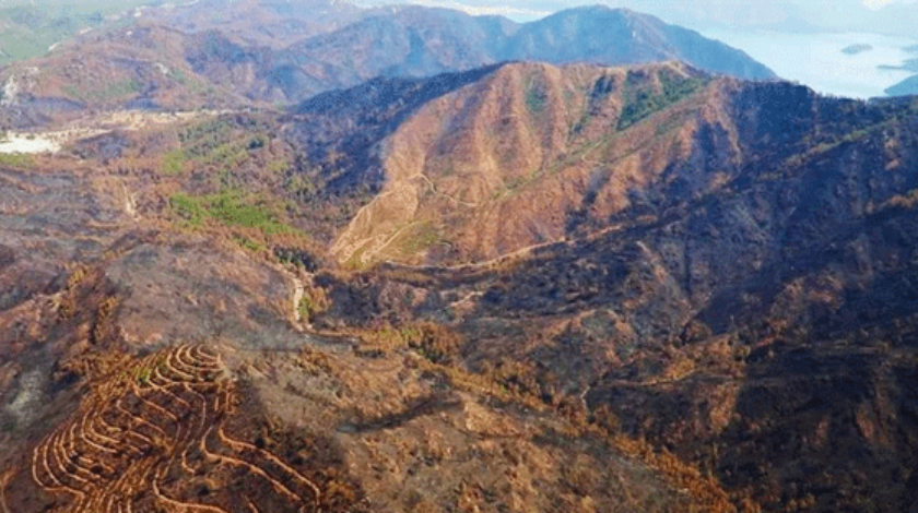 Muğla'daki orman varlığı açıklandı