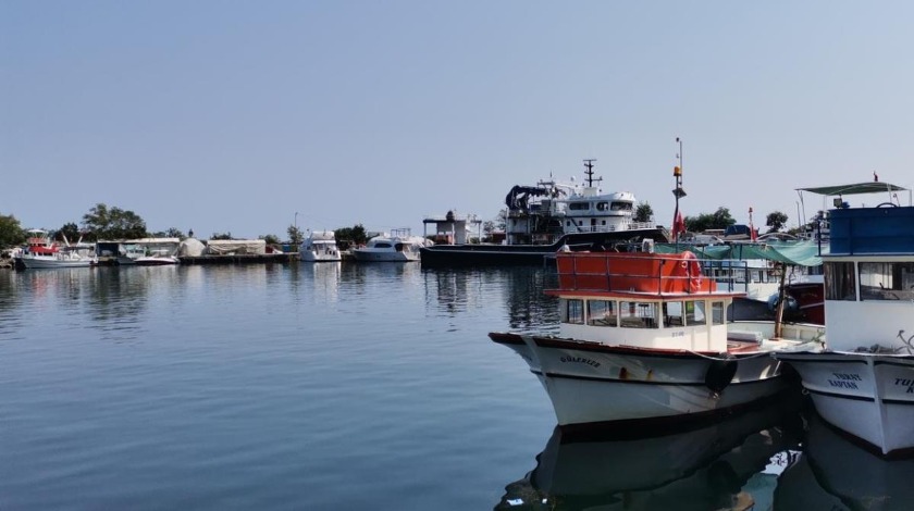 Hamsi ve istavrit avında bu yıl bolluk bekleniyor