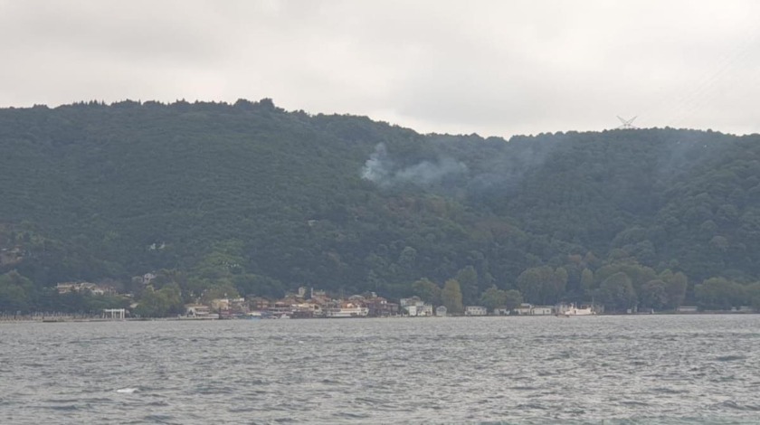 Beykoz'da orman yangını