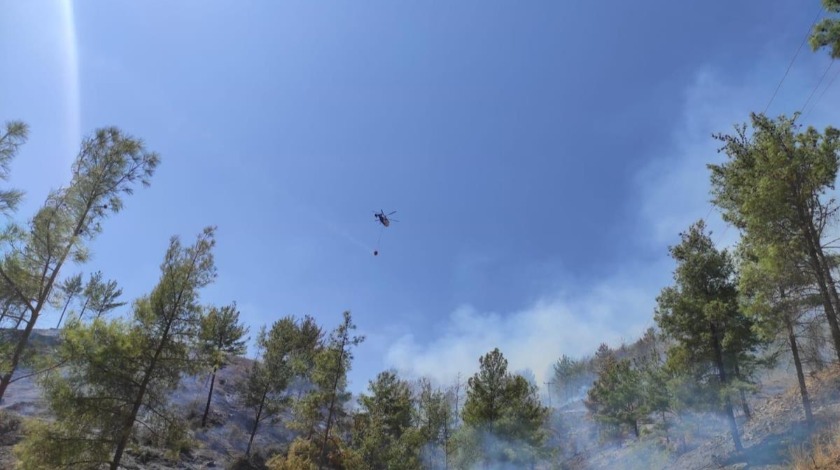 Anamur'da orman yangını