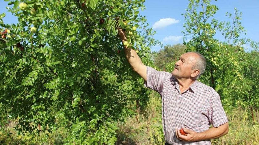 Sadece su istiyor, maddi yönden de getirisi çok yüksek