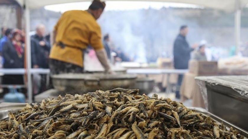 Ankara'da 2 ton hamsi ücretsiz dağıtıldı