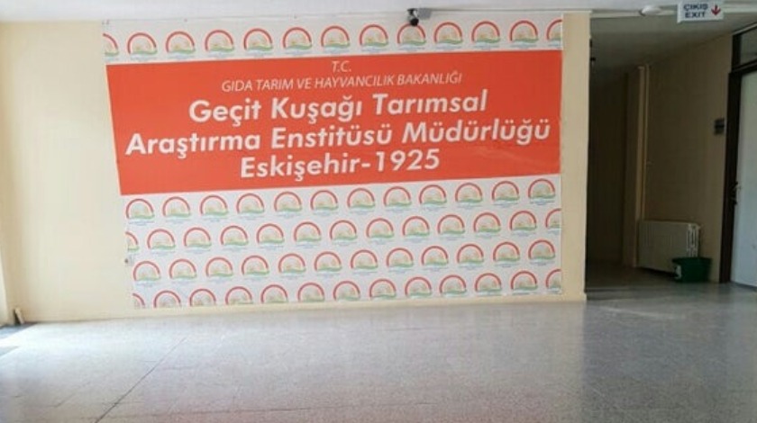 Geçit Kuşağı Tarımsal Araştırma Enstitüsü Müdürlüğü 12 Geçici İşçi alıyor