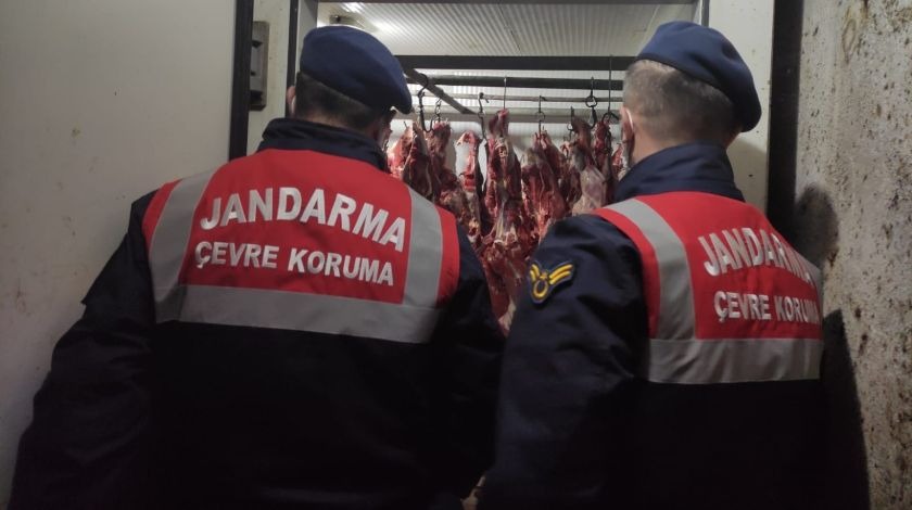 Jandarma, bu manzarayla karşılaştı