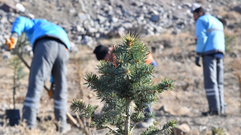 Kayseri OSB’den yeni bir uygulama daha: Fidanlar rahmet olsun