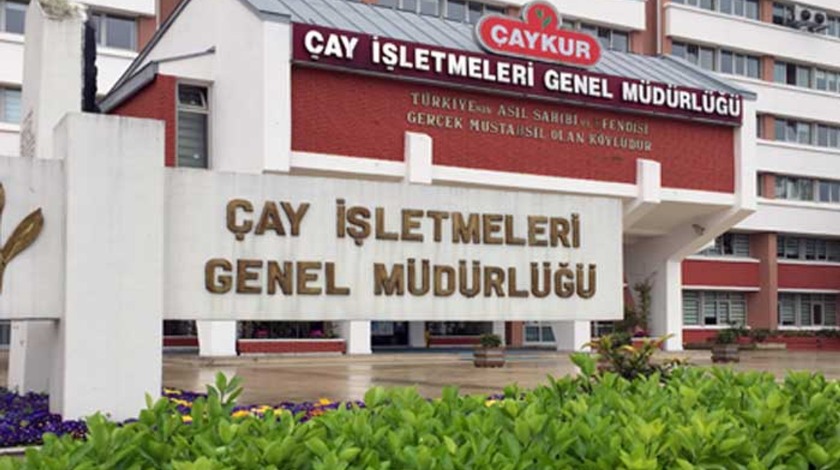 ÇAYKUR 630 Geçici İşçi istihdam ediyor