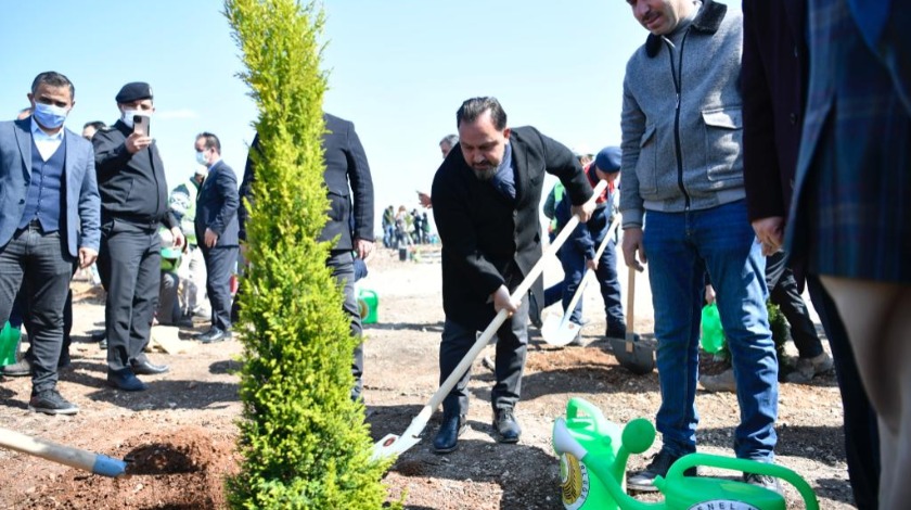 Sarıçam'da 70 dönümlük ağaçlandırma etkinliği Başkan Uludağ fidan dikti