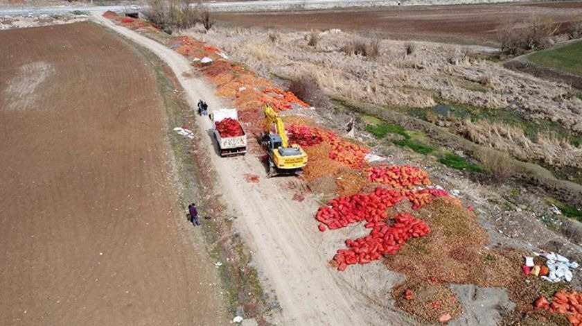 Çorum'da tonlarcası yol kenarına dökülmüştü!