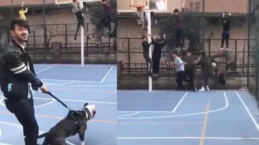 Pitbull'la şaka basketbol sahasındaki çocuklara dehşeti yaşattı