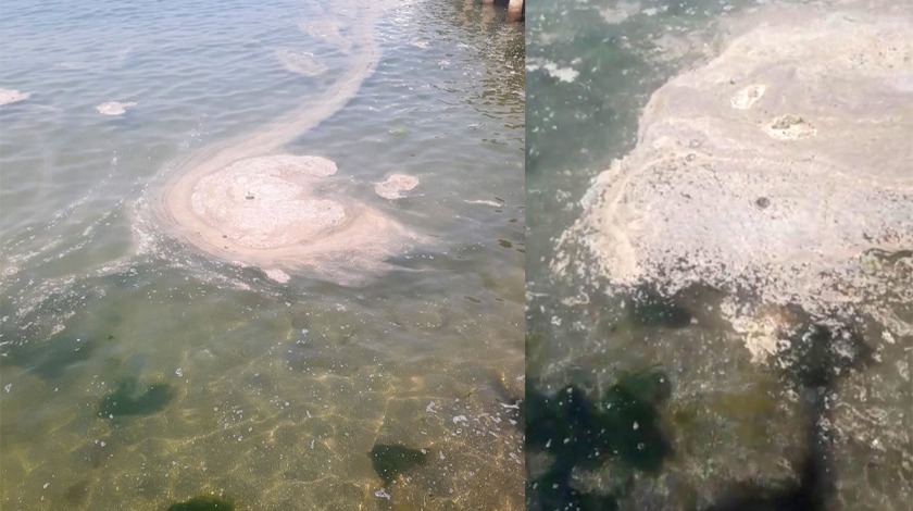 Büyükada açıklarında müsilaj benzeri kirlilik görüldü