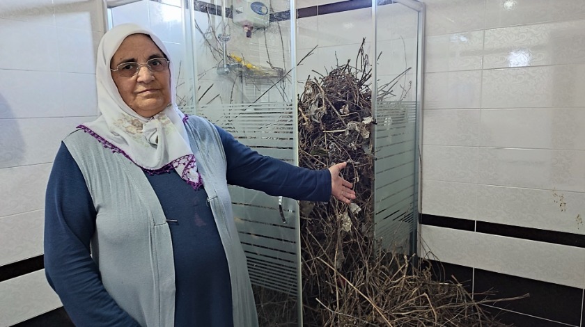 2 yıldır boş olan eve giren kadın şoke oldu! 'Hayatımda böyle bir şey görmedim'