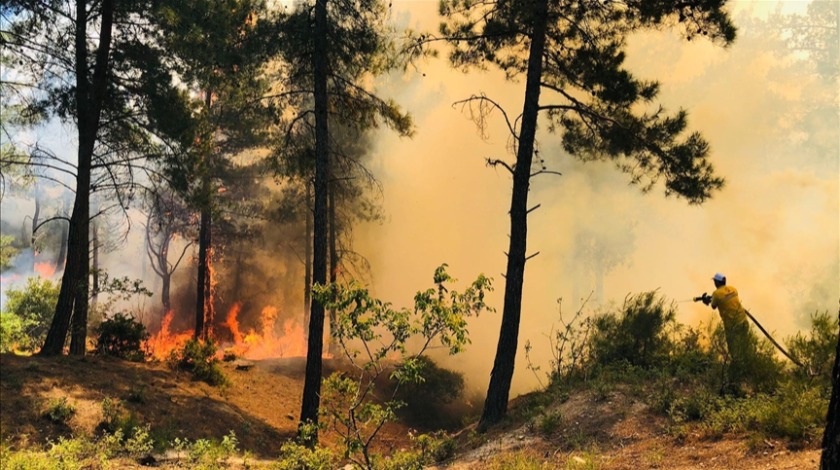 Hatay'da Amanos Dağları eteklerinde orman yangını çıktı