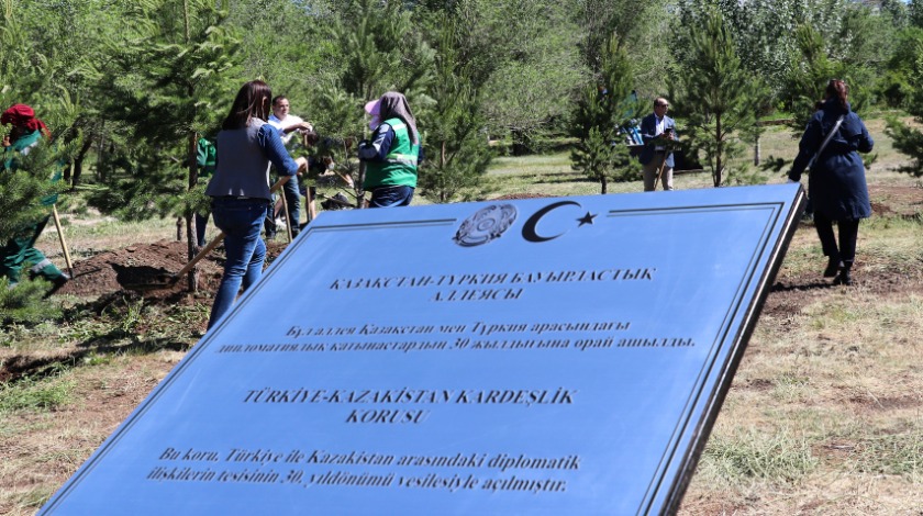 'Kazakistan-Türkiye kardeşlik korusu' büyüyor