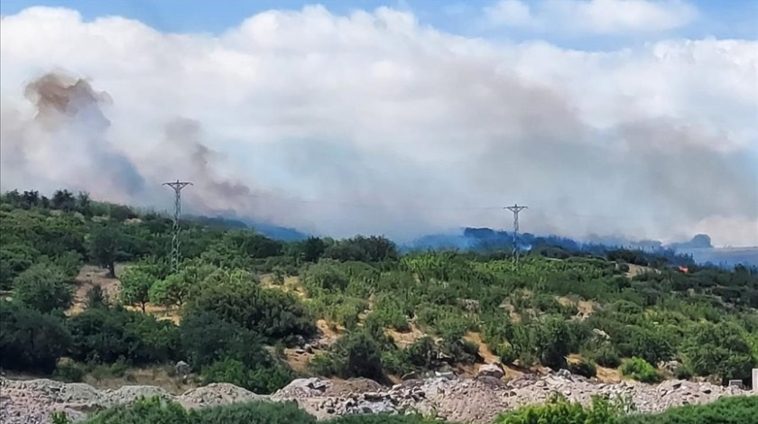 Çanakkale'de zirai alan ve orman yangınlarına müdahale ediliyor