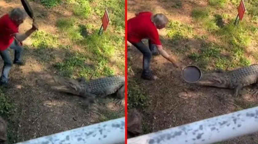 Sosyal medyada viral oldu! Bahçesine giren timsahı tavayla kovaladı