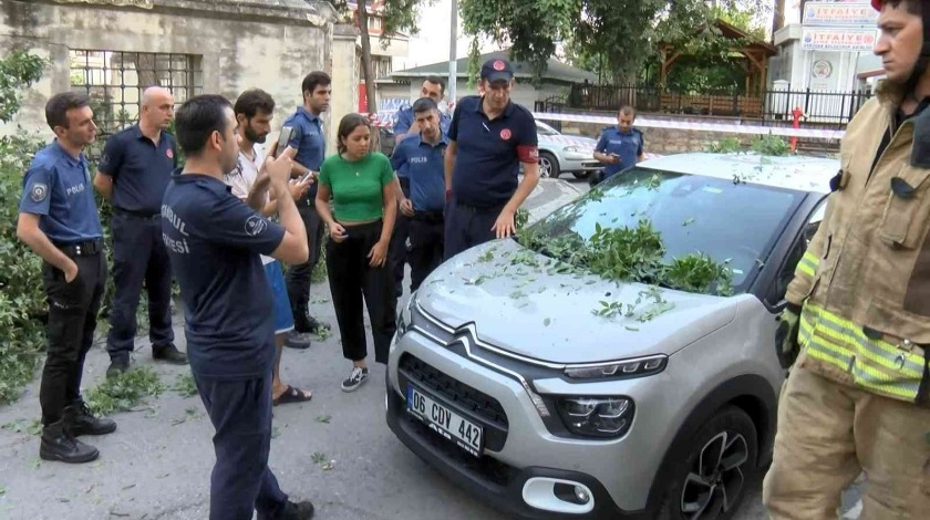 Üsküdar’da asırlık ağaç otomobilin üzerine devrildi