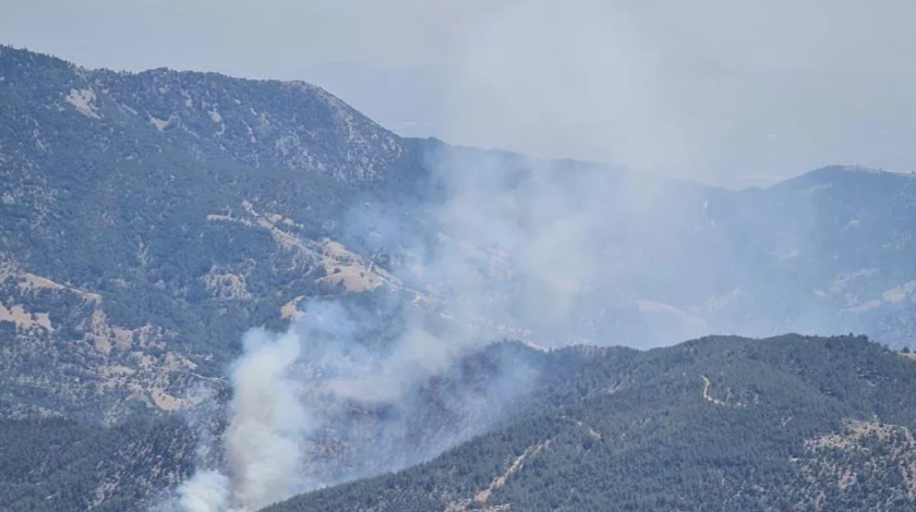 Adana'da orman yangını