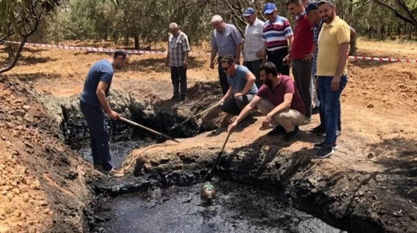 Başına talih kuşu kondu, tarlasından petrol çıktı: 50 milyon dolar teklife bakın ne yanıt verdi