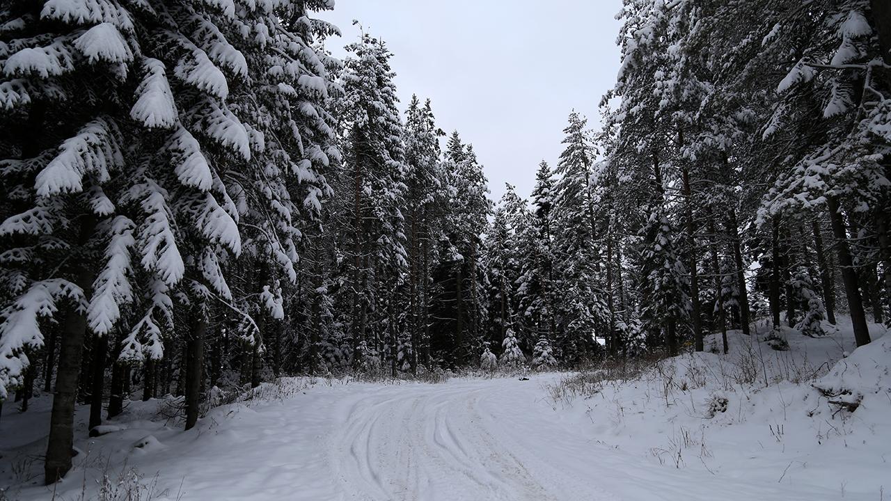 Bolu -12,2 dereceyle Türkiye'nin en soğuk ili oldu