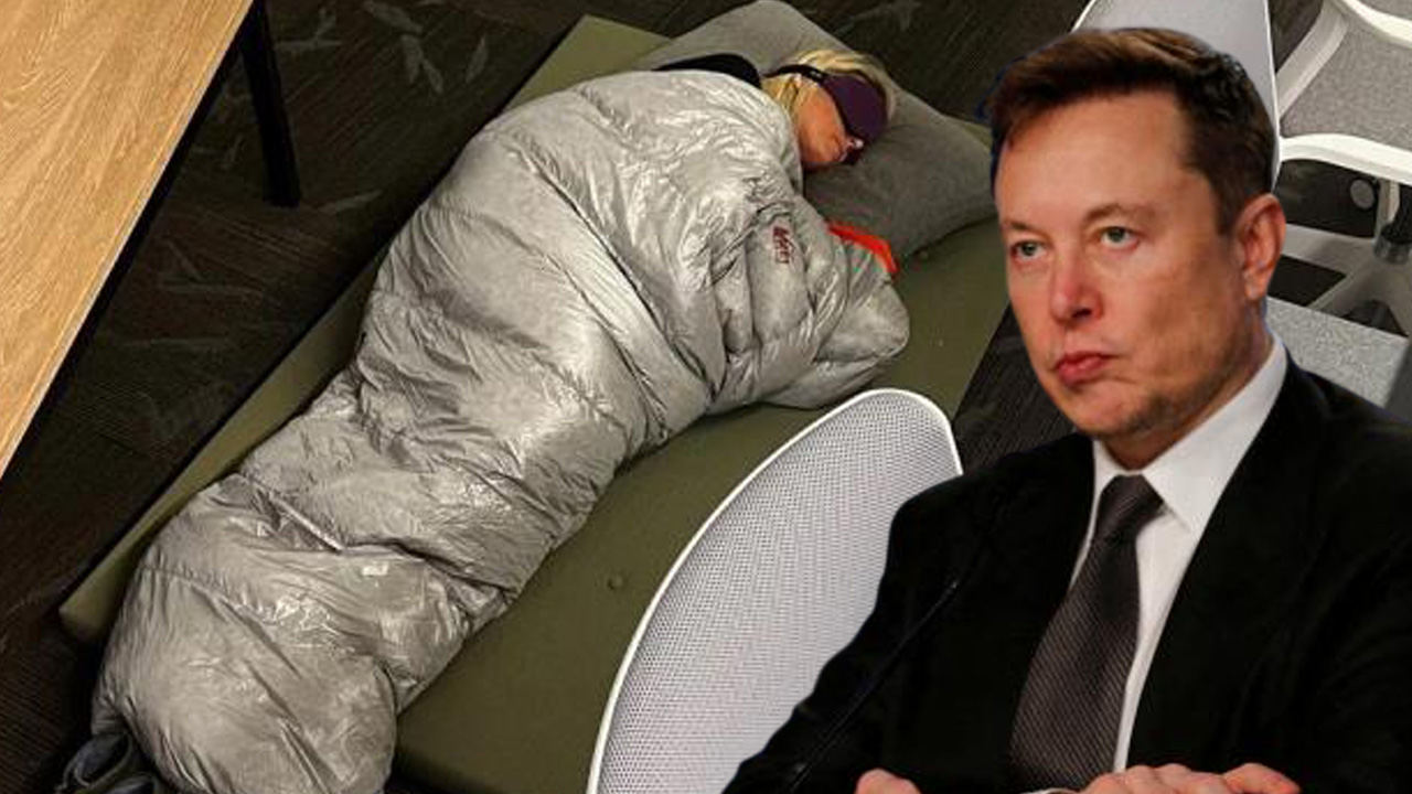 Şirkette uyurken çekilen fotoğrafı hayatını değiştirdi! Elon Musk kayıtsız kalamadı