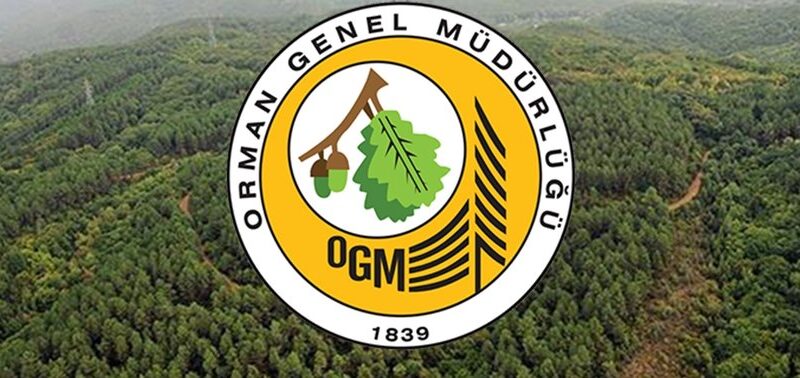 Orman Genel Müdürlüğü’ne danışman alınacak…