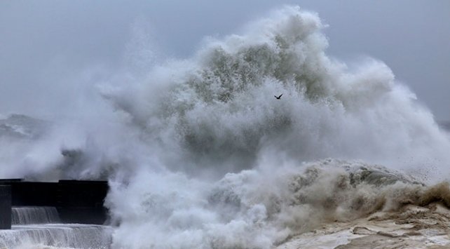 Ege'deki depremler sonrası uzman isimden korkutan sözler: Bizim tarafa doğru Tsunami gelebilir