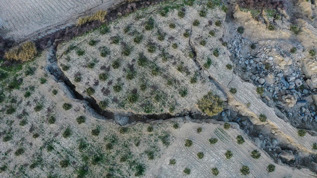 İkiye ayrılan arazinin sahibi konuştu: zeytinliğimi tanıyamadım