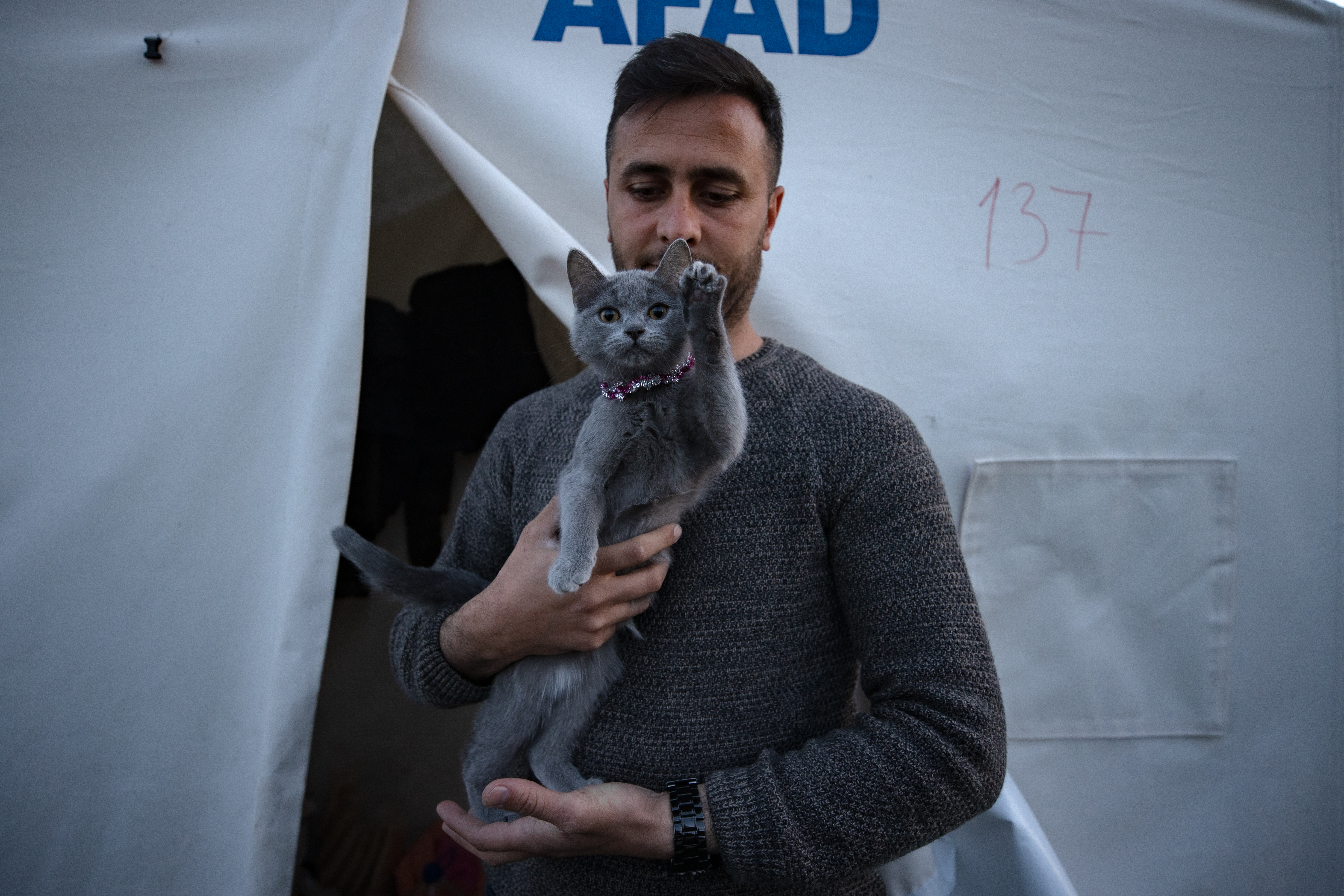 Kedi, köpek hatta keklik... Onlar çadır kentin "can dostları"