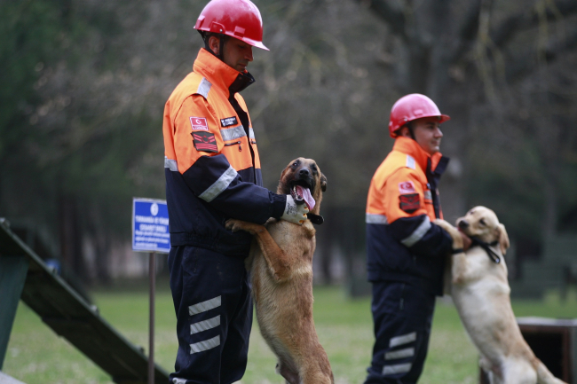 TSK’nın arama köpekleri enkazdan 78 kişiyi kurtardı