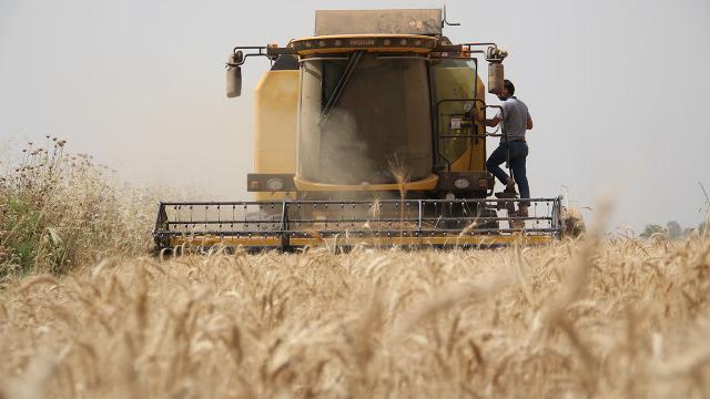 Çiftçilere tarımsal destek ödemeleri bugün yapılacak