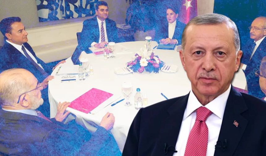 Almanlar 7'li koalisyondan umutsuz: Erdoğan karşıtlığından başka planları yok