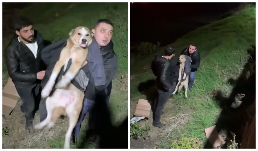 İftara giderken köpeğin hayatını kurtardı