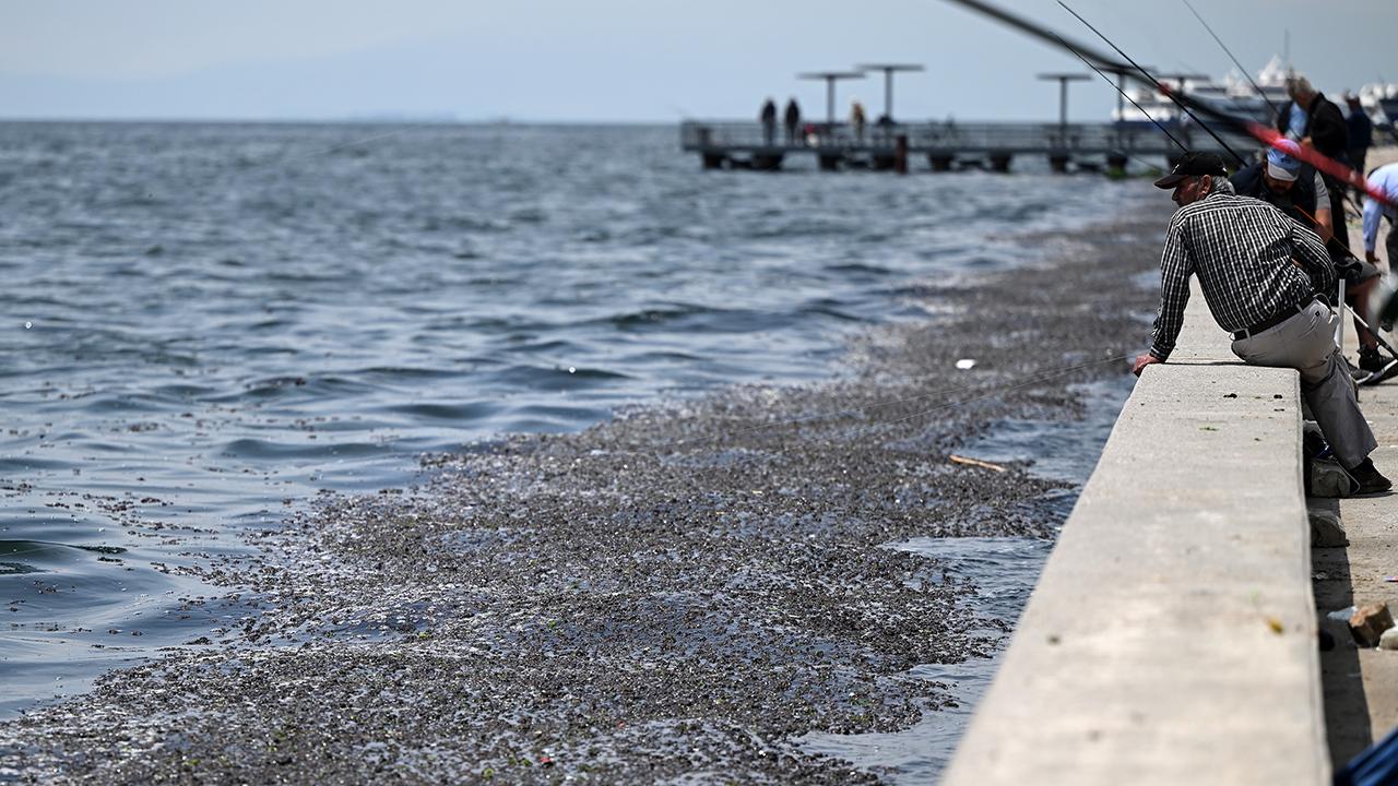 Belgeler ortaya çıktı! İBB'nin ihmali sonrası İstanbul denizlerinde büyük tehlike