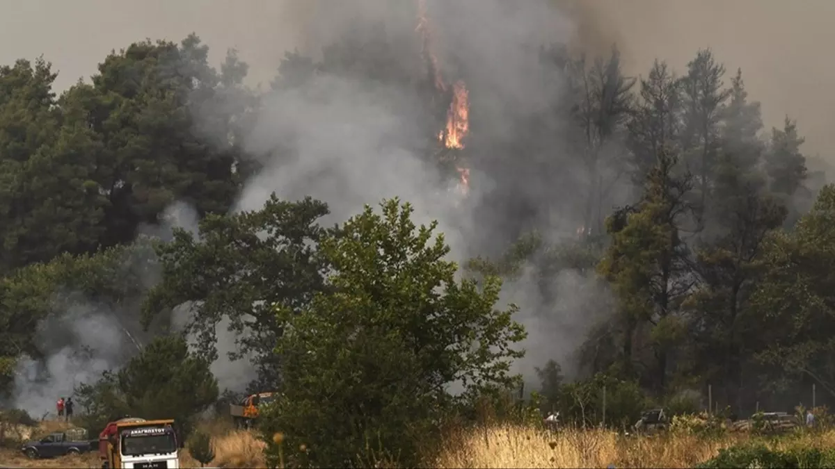 Komşuda orman yangını: Yerleşim birimleri tedbir amaçlı boşaltılmaya başlandı