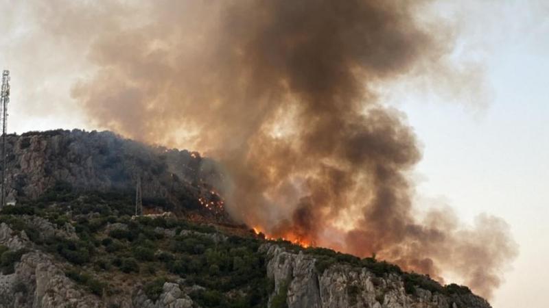 Muğla'da makilik alanda çıkan yangına müdahale ediliyor