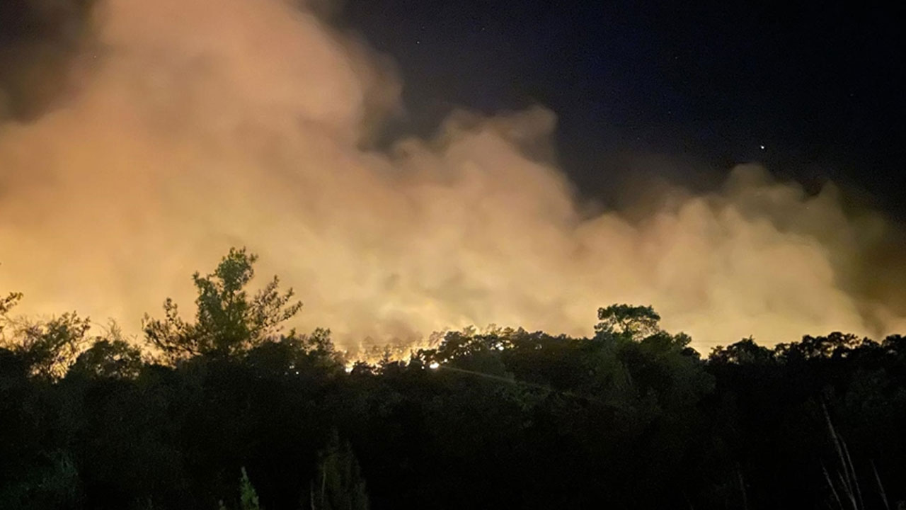 Antalya'nın Kemer ilçesinde orman yangını