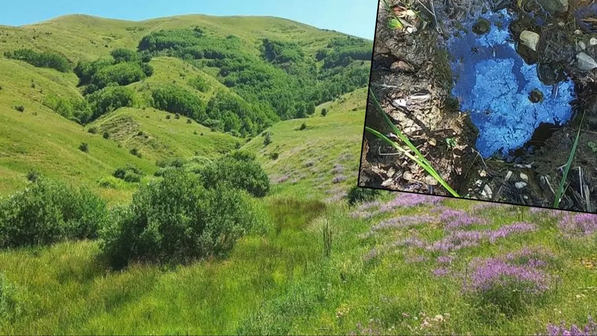 Rus petrolüne eşdeğer! Türkiye'de heyecanlandıran sızıntı: 2 ilimizde bulundu