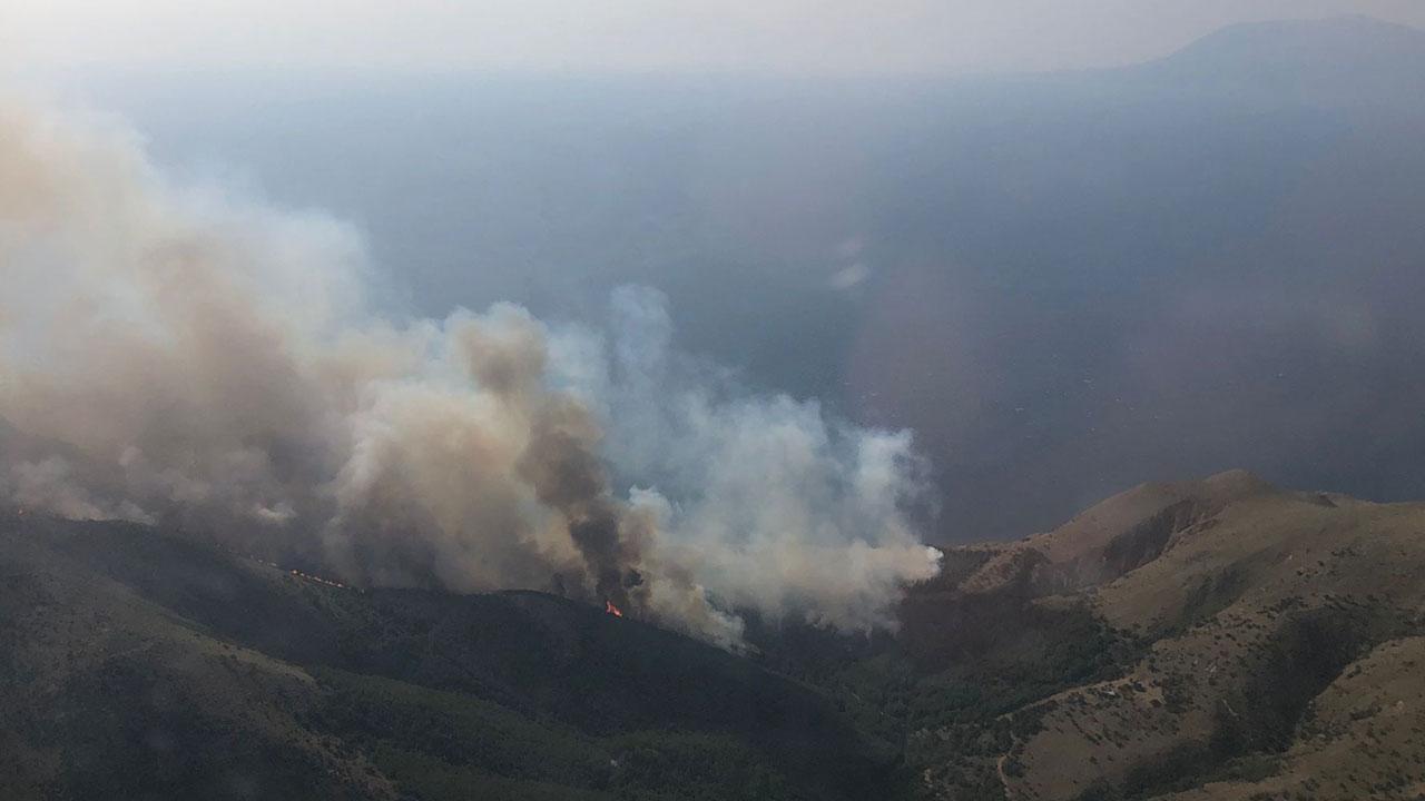 Gökçeada'daki orman yangını 16 saat sonra kontrol altında